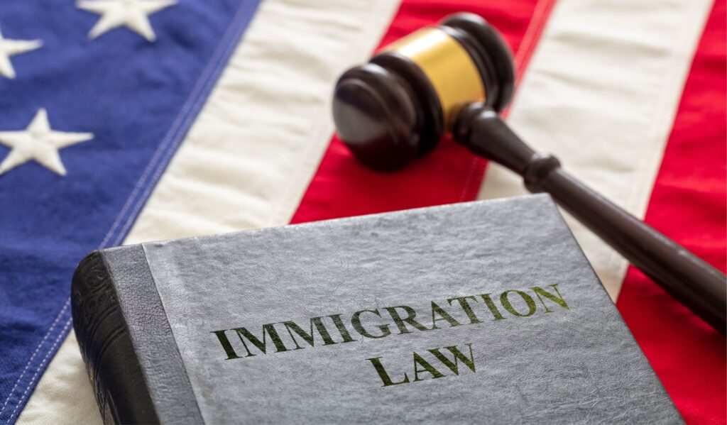 A gavel and a book that says immigration law on an american flag