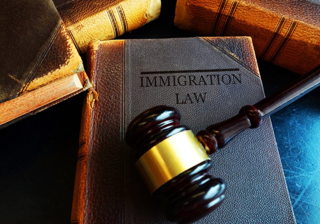 A gavel ontop of a book that says immigration law