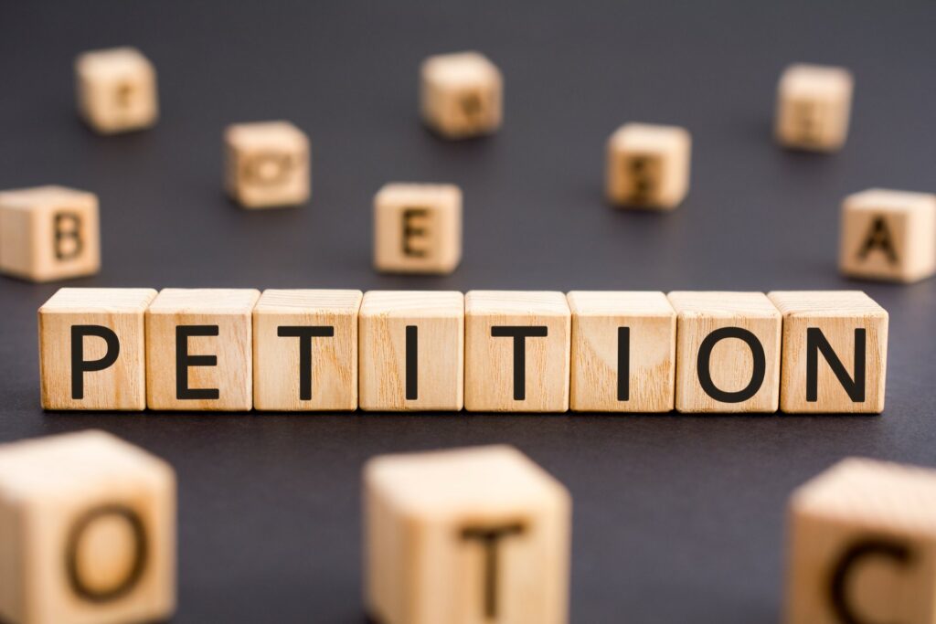A bunch of wooden letter blocks that spell petition