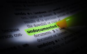 Highlighted word in a book that says undocumented