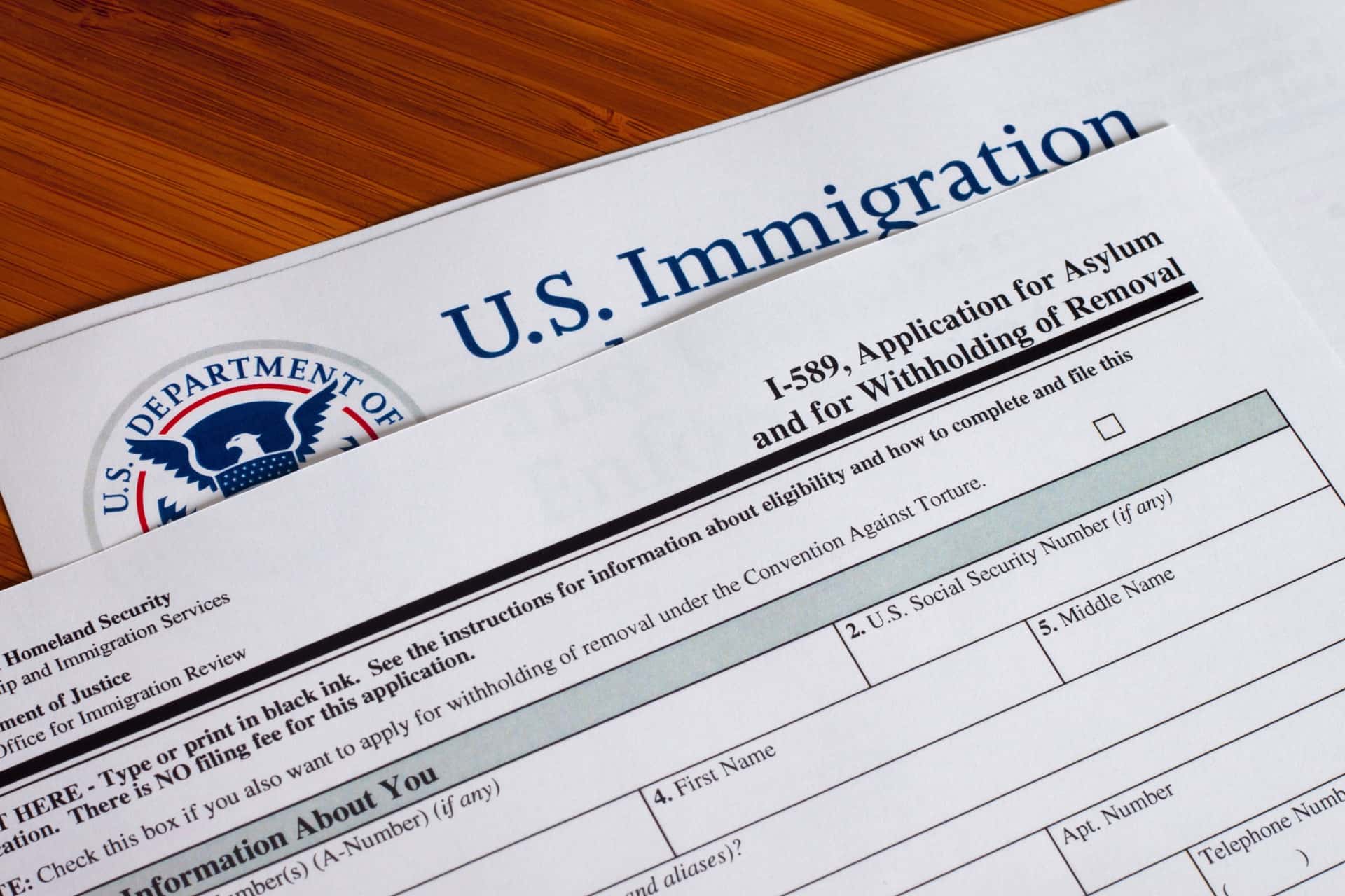 Asylum Application Expert Support | U.S. Immigration Law Counsel